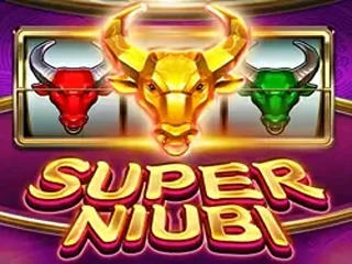 SUPER NIUBI