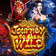 JOURNEY OF THE WILD